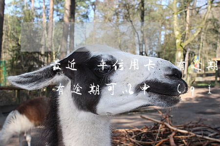 最近兩年信用卡沒有逾期(最近兩年信用卡沒有逾期可以申請(qǐng)房貸嗎)