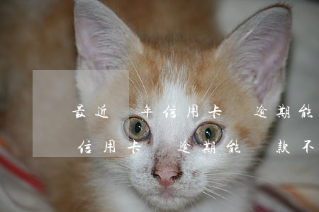 最近兩年信用卡無逾期能貸款不-最近兩年信用卡無逾期能貸款不