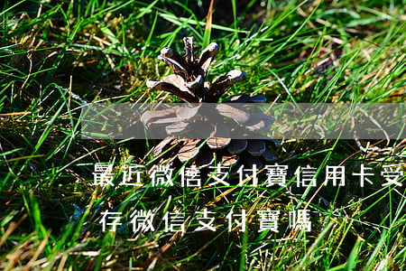 最近微信支付寶信用卡受限（信用卡逾期會封存微信支付寶嗎）