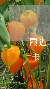 最近是不是很多信用卡逾期(中國多少人信用卡處于逾期狀態(tài))