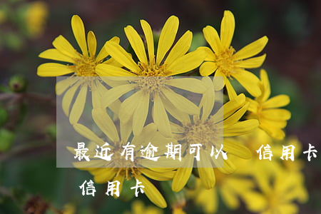 最近有逾期可以辦信用卡(信用卡有逾期能辦信用卡嗎)