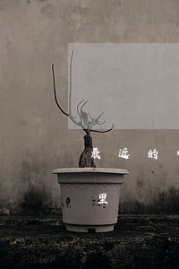 最近的中信银行在哪里(最近的中信银行在哪里)