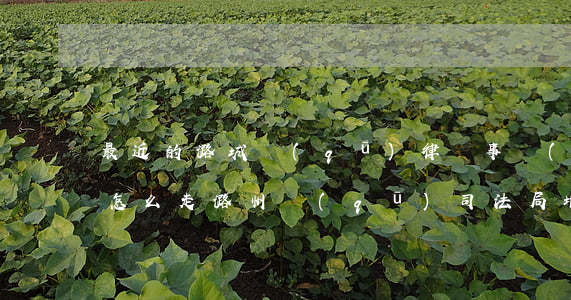 最近的潞城區(qū)律師事務(wù)所怎么走(潞州區(qū)司法局地址)