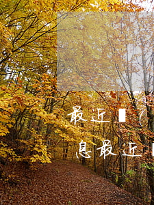 最近經(jīng)常收到信用卡逾期的信息(最近經(jīng)常收到信用卡逾期的信息是真的嗎)