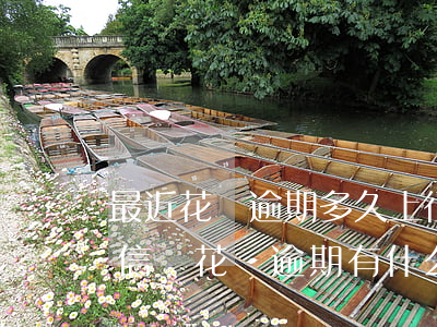 最近花唄逾期多久上征信(花唄逾期多久上征信嗎?花唄逾期有什么后果)