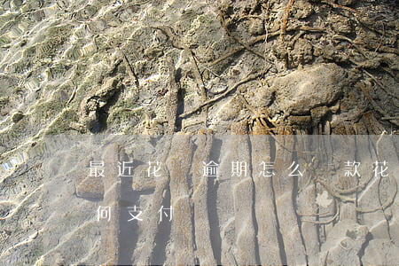 最近花唄逾期怎么還款(花唄逾期了淘寶還如何支付)