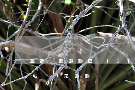 最近還款逾期 已經(jīng)還款了為什么還顯示逾期