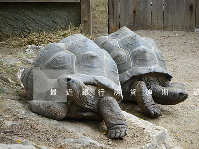 最近銀行房貸逾期-銀行房貸逾期什么后果
