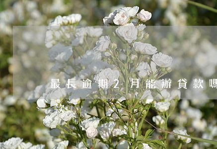 最長逾期2月能辦貸款嗎(有逾期幾年后能貸款)