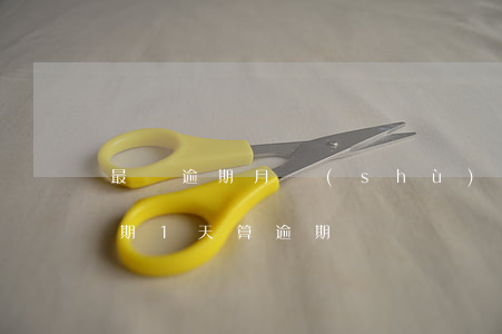 最長逾期月數(shù)1能貸款嗎(貸款逾期1天算逾期嗎)