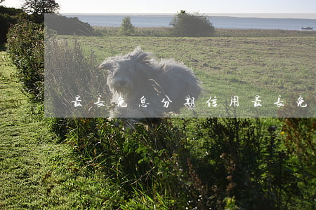 最长免息分期 信用最长免息期