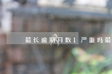 最长逾期月数1严重吗（最长逾期月数1）