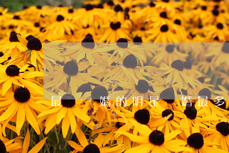 最難離婚的明星(離婚最多的明星)
