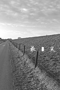 最頂尖的律師事務(wù)所