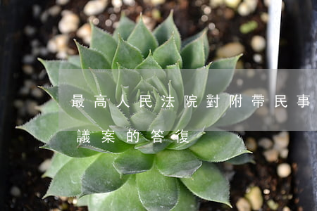最高人民法院對附帶民事訴訟精神損害賠償議案的答復