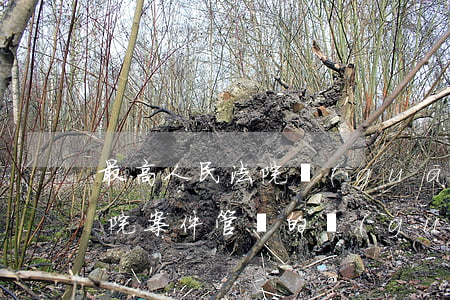 最高人民法院關(guān)于上海金融法院案件管轄的規(guī)定