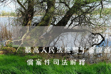 最高人民法院關于審理道路交通事故損害賠償案件司法解釋