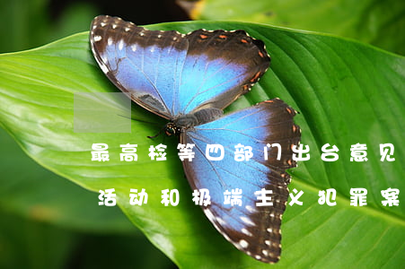 最高检等四部门出台意见 指导依法办理恐怖活动和极端主义犯罪案件