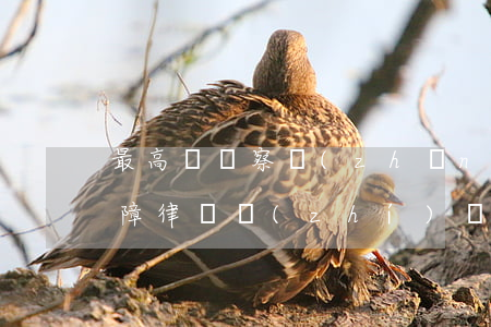 最高檢檢察長(zhǎng)表示，尊重和保障律師執(zhí)業(yè)權(quán)利是檢察機(jī)關(guān)應(yīng)有之義