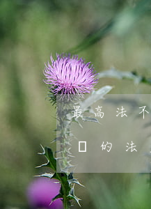 最高法：不經拍賣.變賣程序直接裁定以物抵債的法定要件(附詳細說明)