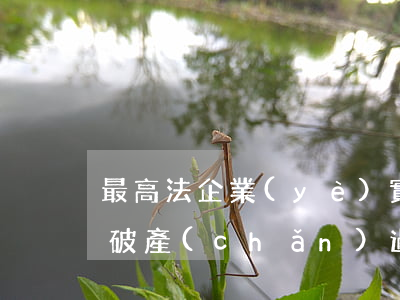 最高法：企業(yè)實(shí)施政策性破產(chǎn)過程中產(chǎn)生的糾紛，不屬于行政訴訟的受案范圍