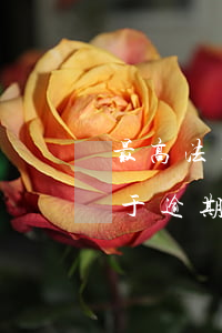 最高法关于逾期付款的诉讼时效-最高法关于逾期付款的诉讼时效规定
