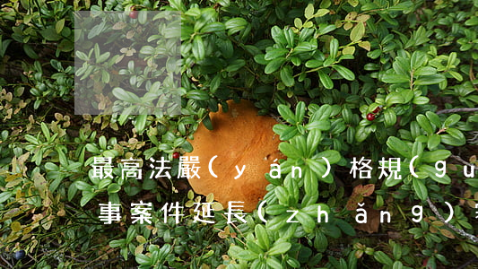 最高法：嚴(yán)格規(guī)范民商事案件延長(zhǎng)審限和延期開(kāi)庭