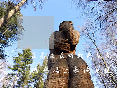 最高法最新裁判观点：空闲或房屋坍塌、拆除两年以上未恢复使用的宅基地，应当由集体收回