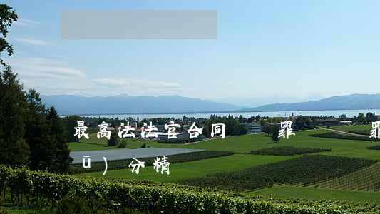 最高法法官：合同詐騙罪與詐騙罪如何區(qū)分（精讀）