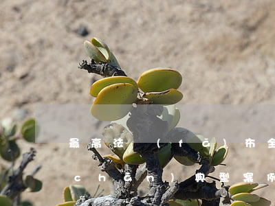 最高法發(fā)布：全國法院10大破產(chǎn)典型案例（2018）