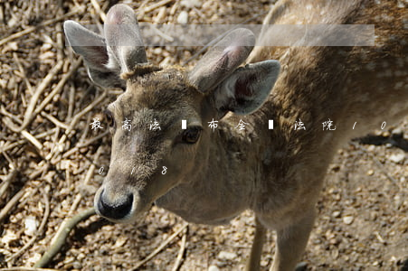 最高法發布：全國法院10大破產典型案例（2018）