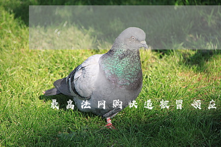 最高法：网购快递被冒领应由网店赔偿
