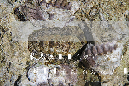 最高法觀點(diǎn)：離婚能否約定不支付撫養(yǎng)費(fèi)一方的違約金？