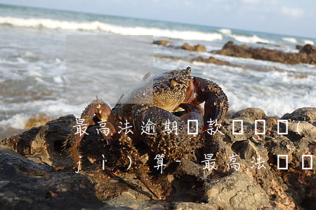 最高法逾期還款違約責(zé)任利息計(jì)算-最高法違約利息的賠償標(biāo)準(zhǔn)