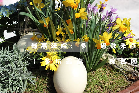 最高法院:多筆借款未逐一對應(yīng)多份最高額擔保合同時,要求擔保人承擔責任的條件