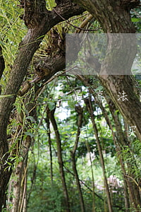 最高法院：以抵账方式进行的房屋交易，可否认定为买受人已实际支付了购房款？