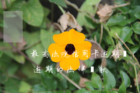 最高法院信用卡逾期規(guī)定(信用卡逾期的法律條款)