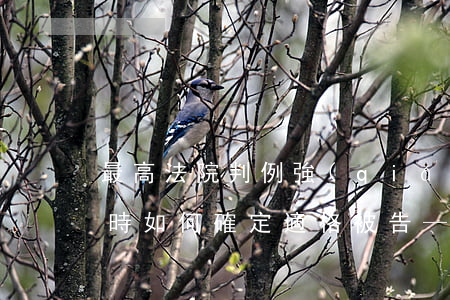 最高法院判例：強(qiáng)拆主體不明時如何確定適格被告——萬達(dá)公司訴中山區(qū)政府強(qiáng)制拆除并行政賠償案