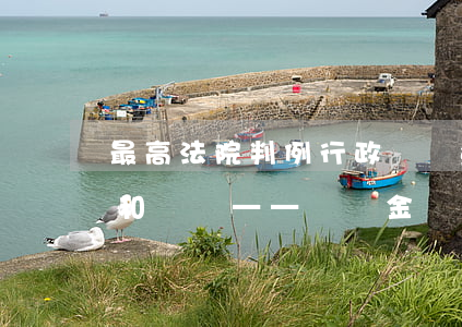 最高法院判例：行政機關查處違法建筑的程序和義務——陳選金訴臨武縣政府、臨武縣城管局強制拆除行為違法及