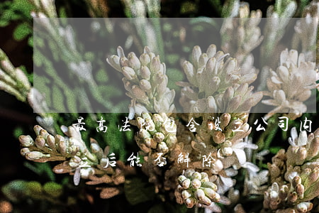 最高法院：包含设立公司内容的协议在公司设立后能否解除
