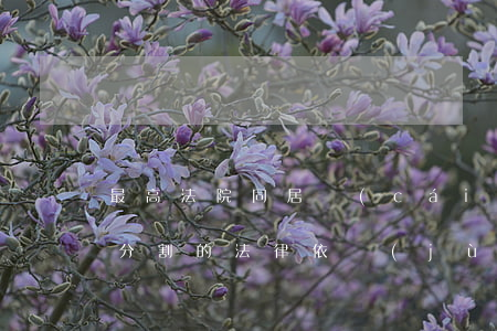 最高法院：同居財(cái)產(chǎn)分割的法律依據(jù)｜都全了