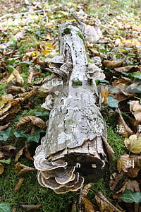 最高法院關(guān)于代位權(quán)糾紛案件的裁判規(guī)則