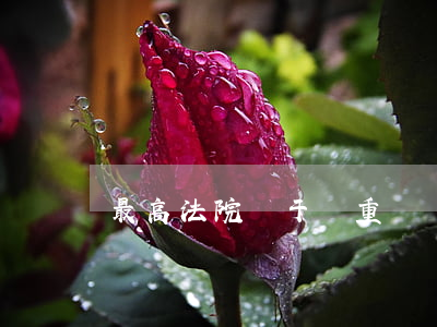 最高法院關于雙重勞動關系的處理意見