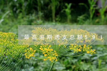 最高逾期透支总额591