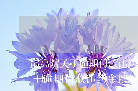 最高院关于逾期付款违约金批复-最高院关于逾期付款违约金批复的规定