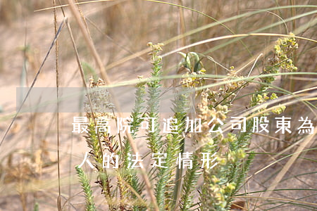 最高院：可追加公司股東為被執(zhí)行人的法定情形！