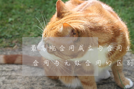 最高院：合同成立与合同生效的区别+未生效合同与无效合同的区别