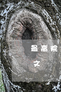 最高院：“大姨媽”有不良影響，無效?。ㄔ賹徟袥Q書全文）