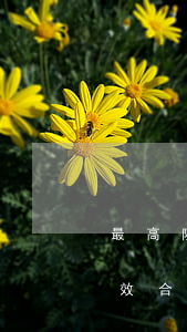 最高院：施工合同因違反招標投標法規定而無效，合同履行過程中雙方達成的結算工程價款補充協議是否必然無效