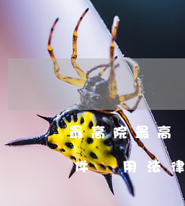 最高院最高檢關(guān)于辦理盜竊案件適用法律若干問題的司法解釋是怎樣的